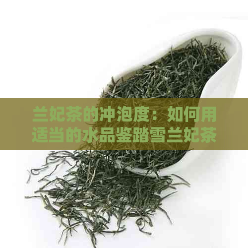 兰妃茶的冲泡度：如何用适当的水品鉴踏雪兰妃茶