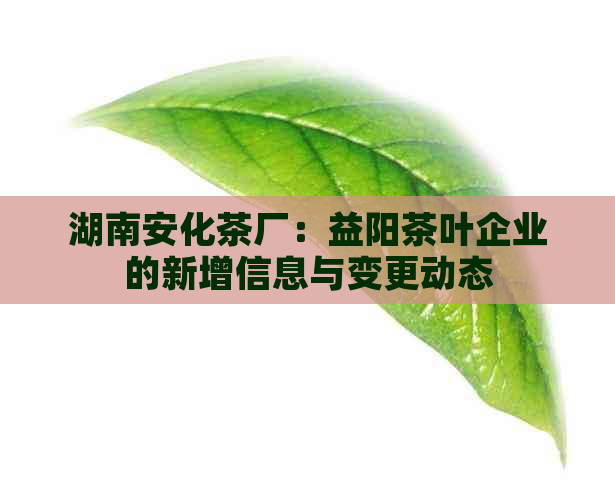 湖南安化茶厂：益阳茶叶企业的新增信息与变更动态