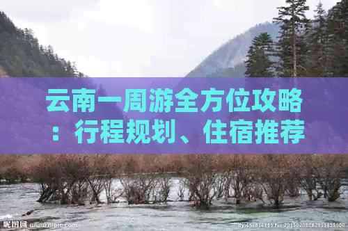 云南一周游全方位攻略：行程规划、住宿推荐、交通方式及费用分析