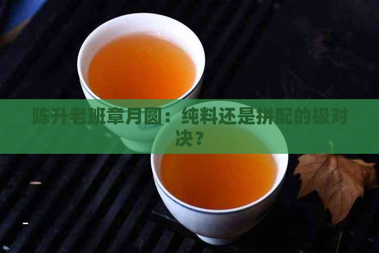 陈升老班章月圆：纯料还是拼配的极对决？