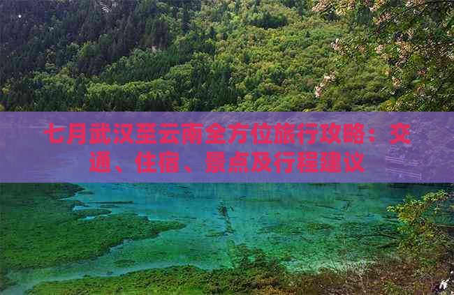 七月武汉至云南全方位旅行攻略：交通、住宿、景点及行程建议