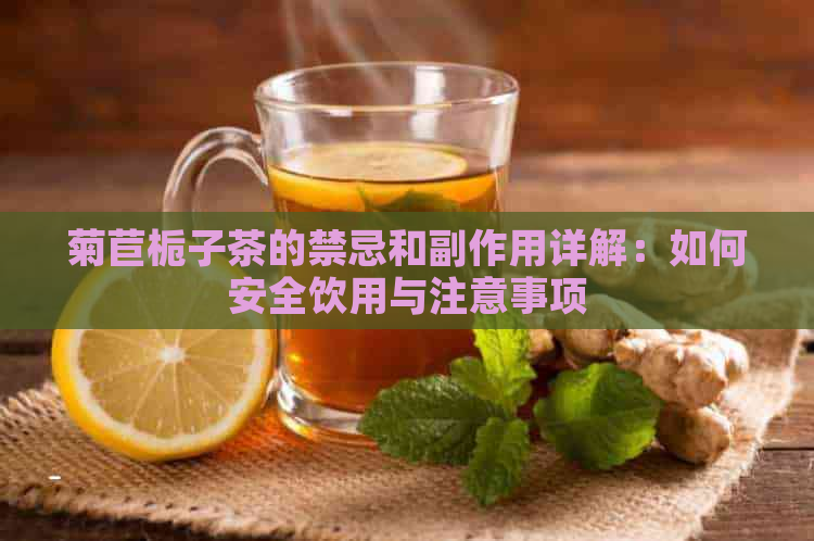 菊苣栀子茶的禁忌和副作用详解：如何安全饮用与注意事项