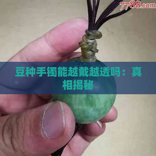 豆种手镯能越戴越透吗：真相揭秘