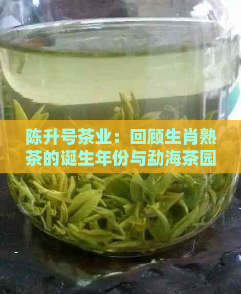 陈升号茶业：回顾生肖熟茶的诞生年份与勐海茶园特色