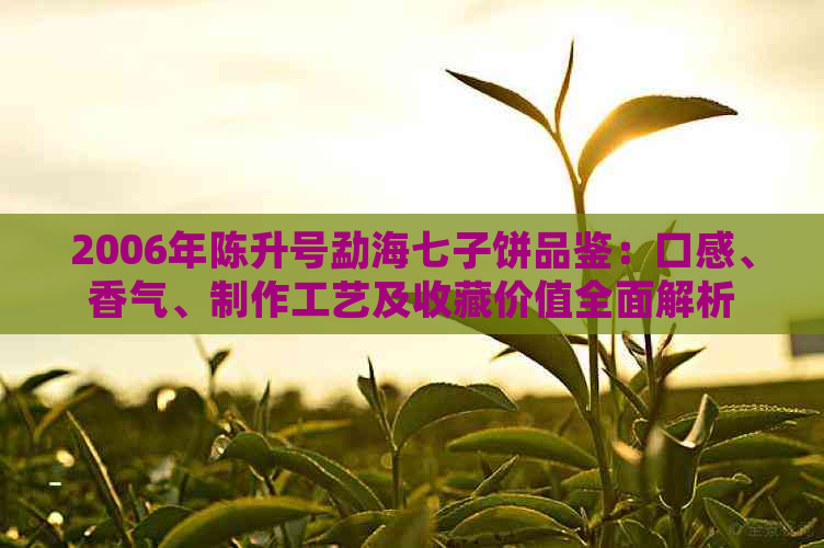 2006年陈升号勐海七子饼品鉴：口感、香气、制作工艺及收藏价值全面解析