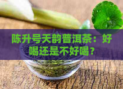 陈升号天韵普洱茶：好喝还是不好喝？