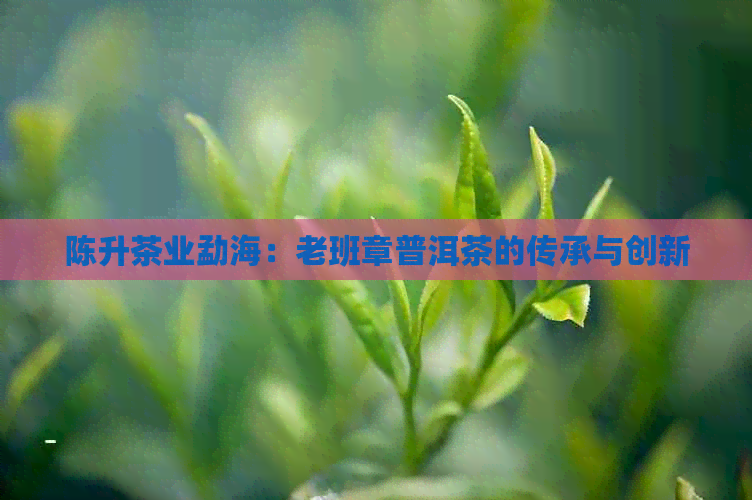 陈升茶业勐海：老班章普洱茶的传承与创新