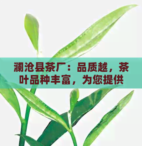 澜沧县茶厂：品质越，茶叶品种丰富，为您提供一站式茶叶购买体验