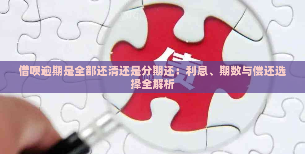 借呗逾期是全部还清还是分期还：利息、期数与偿还选择全解析