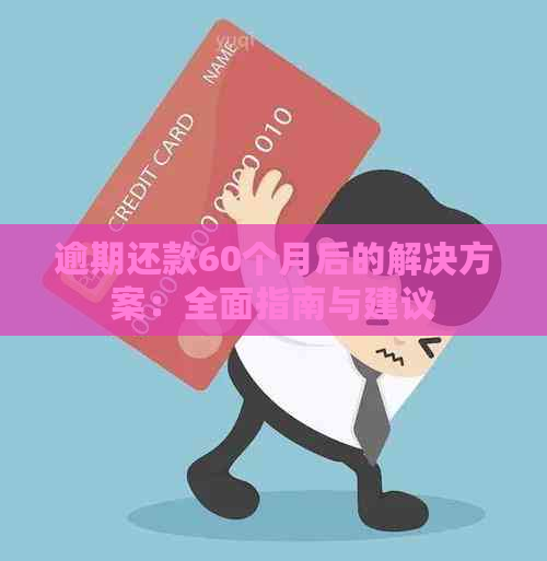 逾期还款60个月后的解决方案：全面指南与建议