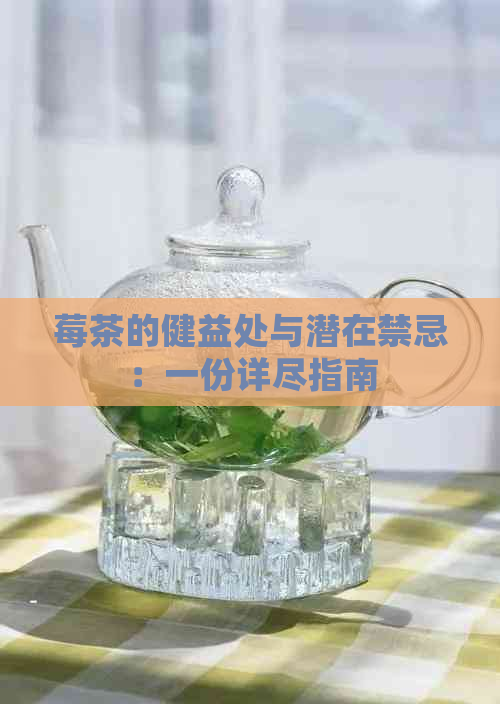 莓茶的健益处与潜在禁忌：一份详尽指南