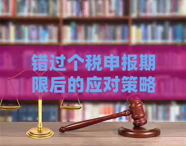 错过个税申报期限后的应对策略与处理方法