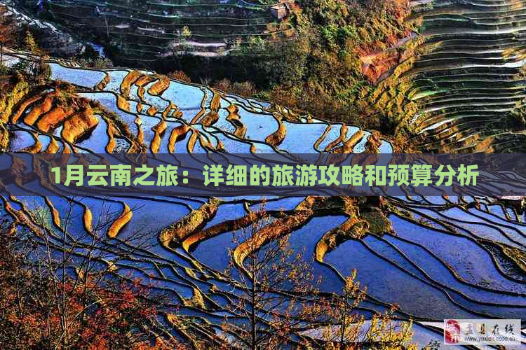 1月云南之旅：详细的旅游攻略和预算分析