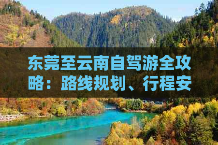 东莞至云南自驾游全攻略：路线规划、行程安排、必备事项及景点推荐一网打尽