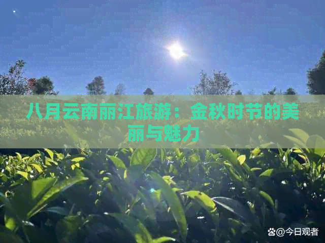 八月云南丽江旅游：金秋时节的美丽与魅力