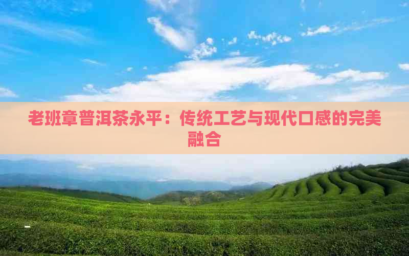 老班章普洱茶永平：传统工艺与现代口感的完美融合