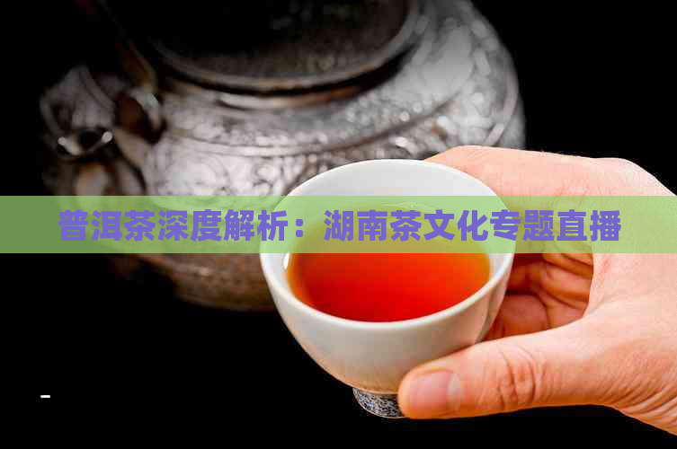 普洱茶深度解析：湖南茶文化专题直播