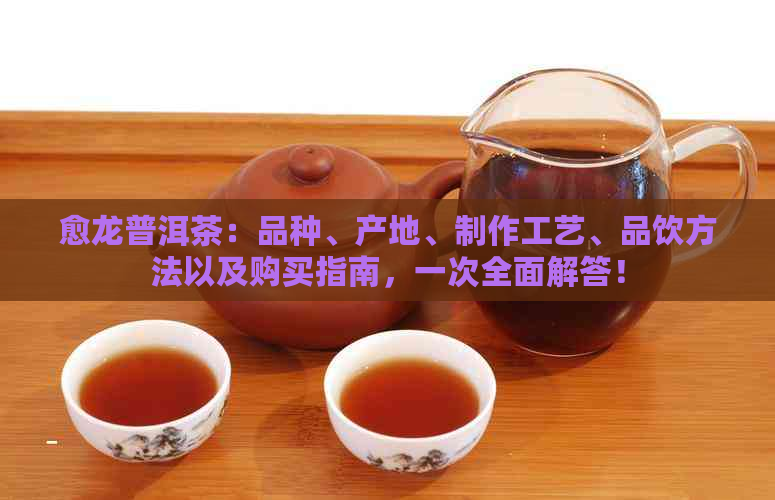 愈龙普洱茶：品种、产地、制作工艺、品饮方法以及购买指南，一次全面解答！