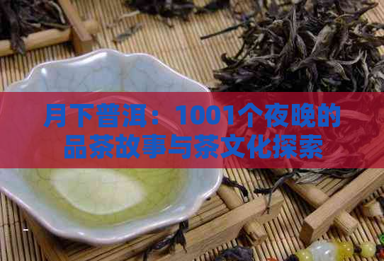 月下普洱：1001个夜晚的品茶故事与茶文化探索