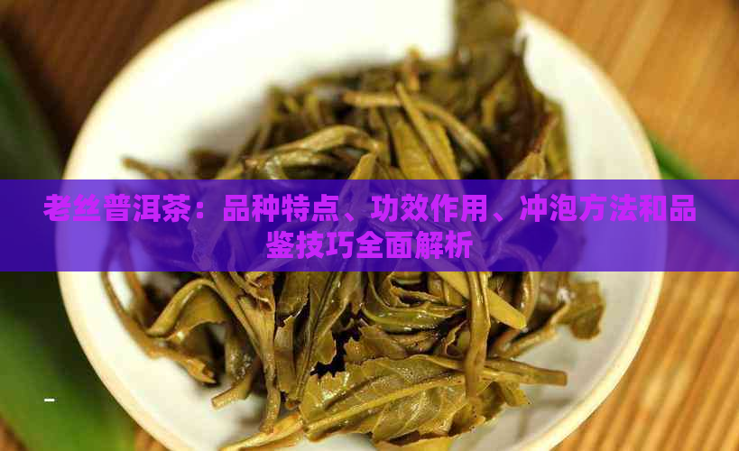 老丝普洱茶：品种特点、功效作用、冲泡方法和品鉴技巧全面解析