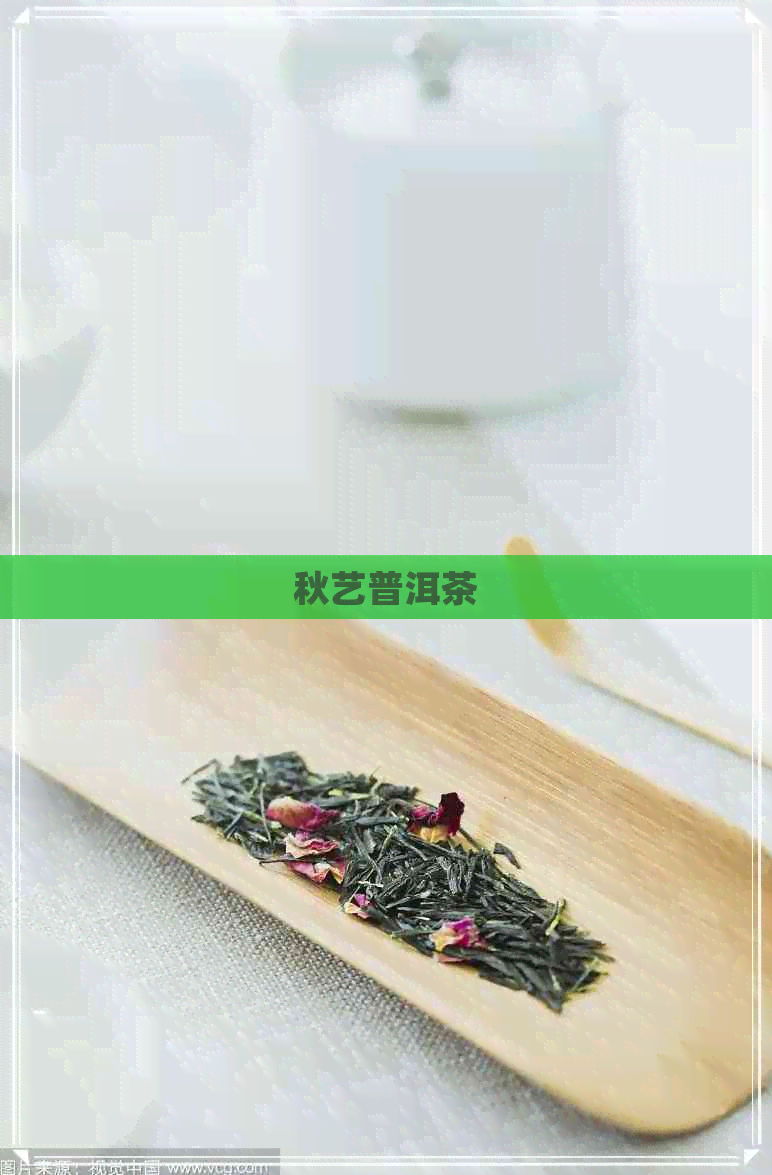 秋艺普洱茶