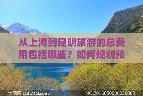 从上海到昆明旅游的总费用包括哪些？如何规划预算以节省旅行开支？