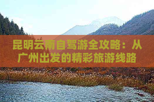 昆明云南自驾游全攻略：从广州出发的精彩旅游线路与景点推荐