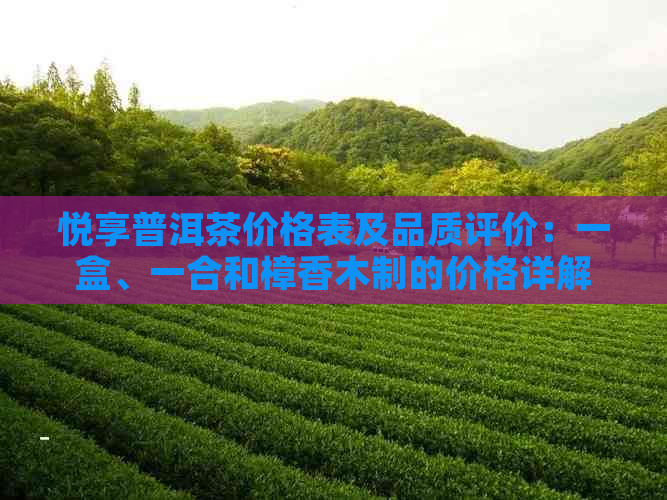 悦享普洱茶价格表及品质评价：一盒、一合和樟香木制的价格详解