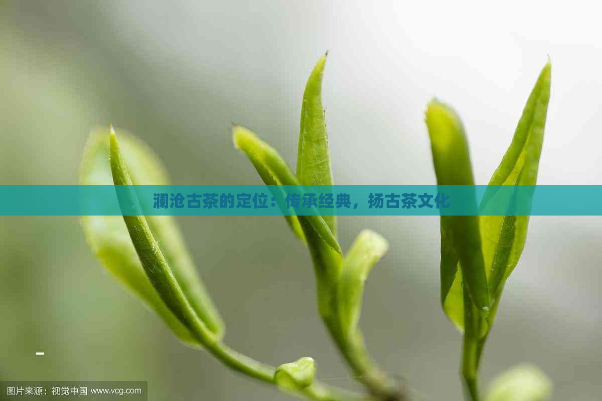 澜沧古茶的定位：传承经典，扬古茶文化