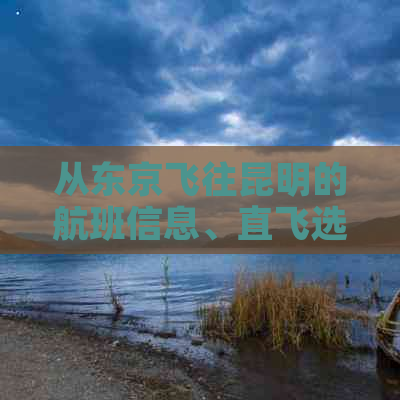 从东京飞往昆明的航班信息、直飞选项、中转建议及相关旅行注意事项