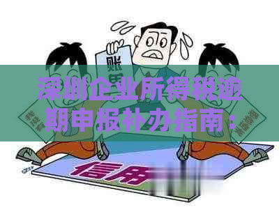 深圳企业所得税逾期申报补办指南：如何到大厅办理及相关注意事项