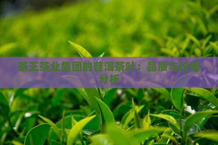 茶王茶业集团的普洱茶叶：品质与价格分析