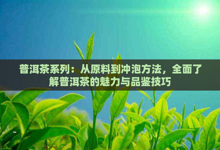 普洱茶系列：从原料到冲泡方法，全面了解普洱茶的魅力与品鉴技巧