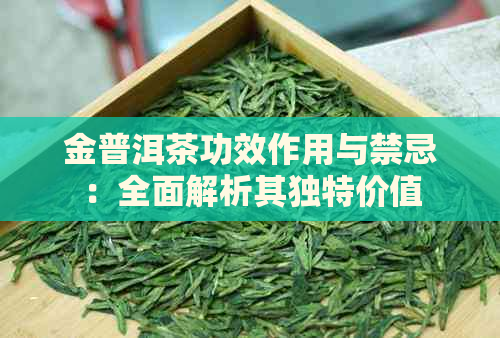 金普洱茶功效作用与禁忌：全面解析其独特价值