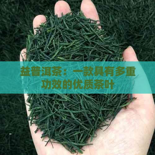 益普洱茶：一款具有多重功效的优质茶叶