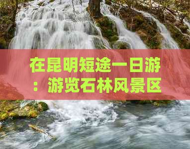 在昆明短途一日游：游览石林风景区，感受昆明魅力