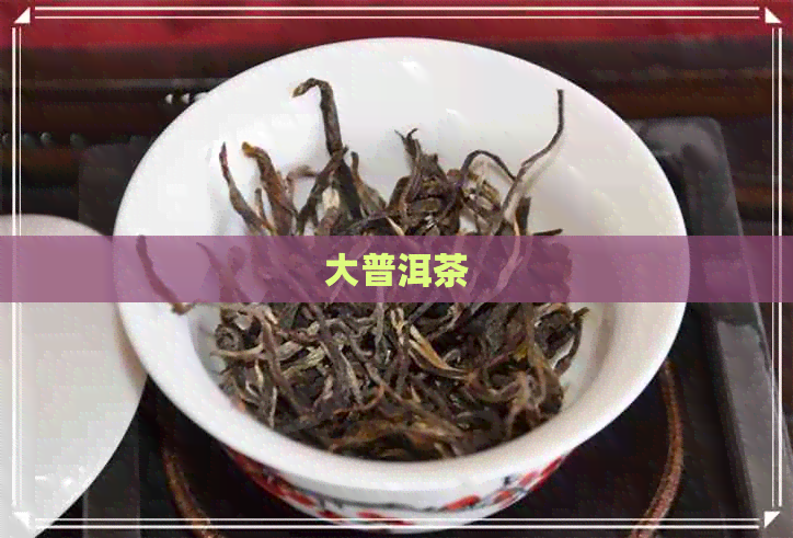 大普洱茶