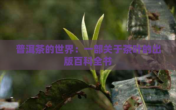 普洱茶的世界：一部关于茶叶的出版百科全书