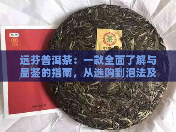 远芬普洱茶：一款全面了解与品鉴的指南，从选购到泡法及功效解析