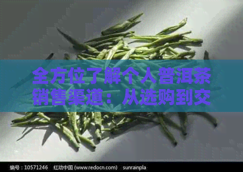 全方位了解个人普洱茶销售渠道：从选购到交易，一文解答您的所有疑问