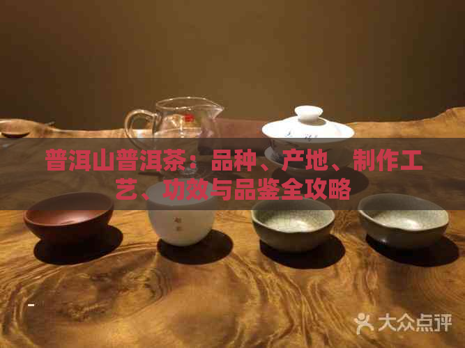 普洱山普洱茶：品种、产地、制作工艺、功效与品鉴全攻略