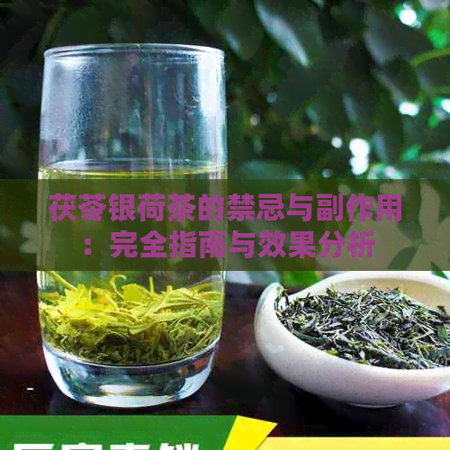 茯苓银荷茶的禁忌与副作用：完全指南与效果分析