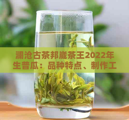 澜沧古茶邦崴茶王2022年生普瓜：品种特点、制作工艺、口感风味及选购指南