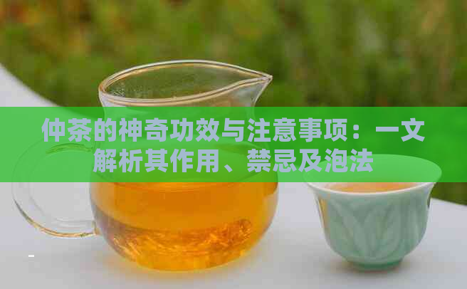 仲茶的神奇功效与注意事项：一文解析其作用、禁忌及泡法