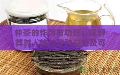 仲茶的作用与功效：详解其对人体的多种益处及可能副作用