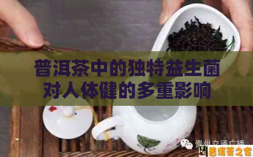 普洱茶中的独特益生菌对人体健的多重影响