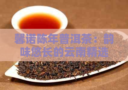 馨诺陈年普洱茶：韵味悠长的云南精选