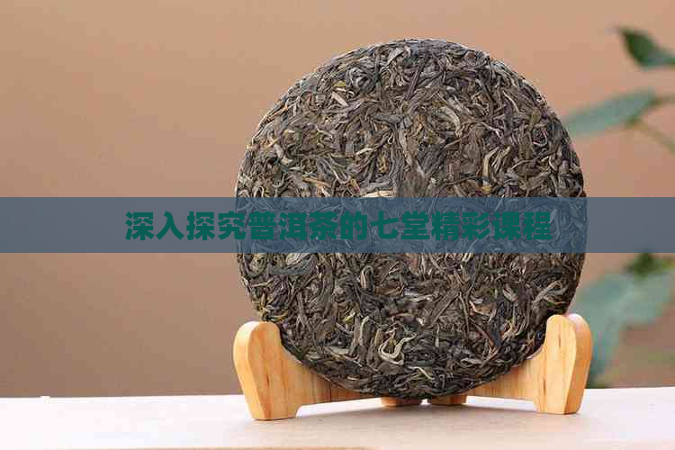 深入探究普洱茶的七堂精彩课程