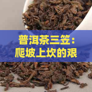 普洱茶三笠：爬坡上坎的艰与收获