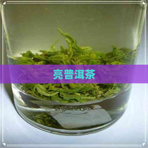 亮普洱茶